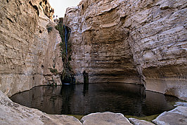 En Avdat (5v9)_t.jpg